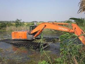 河南省洛陽市工程機械設備出租 聚焦水陸挖機租賃，賦能建筑工程發展